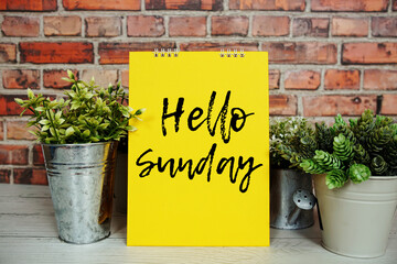 Hello Sunday text message and artificial plant in metal vase decoration on wooden background