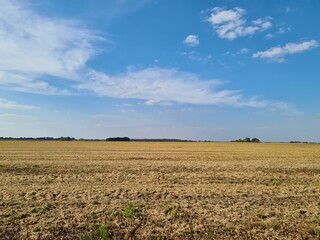 Blue Sky Over a Peaceful Field – Nature’s Open Canvas