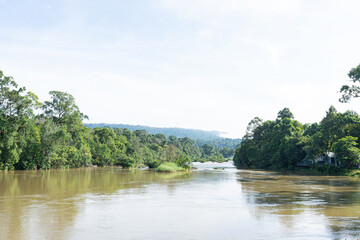 Serene River in Forest Landscape with Reflections