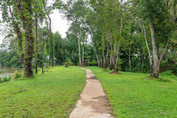 A Serene Park Path Under Summer Skies
