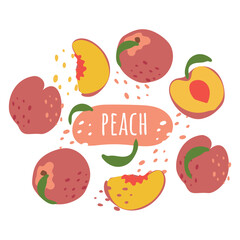 A set of peach slices with the inscription peach. Fresh, juicy and tasty fruit. Vector illustration of organic fruit. Eco-label for natural watermelon flavor. Juice, smoothie design.