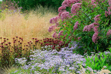 Buntes Staudenbeet