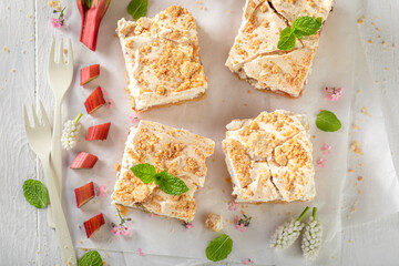 Delicious and fresh rhubarb yeast cake served with tea.