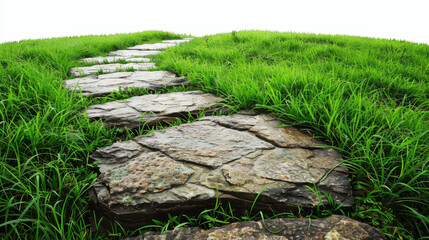 Fototapeta premium Tranquil stone path winding through lush green field against a white backdrop.