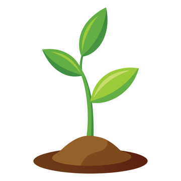 recommend clip art: Illustration of Realistic seedling growing in soil