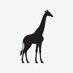 Fototapeta premium Print Majestic Giraffe Silhouette: A Timeless Symbol of Grace and Elegance