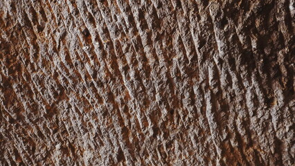 Brown Grooved Bark Texture Detailed Close-Up View