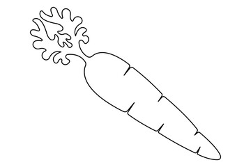 Simple carrot in continuous one line art drawing design, Growing carrot plant minimalist outline vector