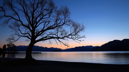 The serene dawn over Lake Wanaka highlights the solitary beauty of the Wanaka tree, its branches gracefully silhouetted against the morning sky in Wanaka, New Zealand.
