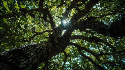 Fototapeta premium A tree with green leaves and a dark trunk