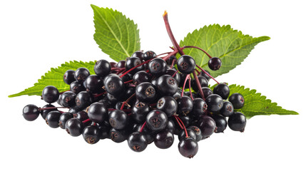 resh elderberries isolated on white background, whole and close-up
