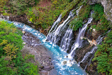 白ひげの滝から流れ出る美しい水
