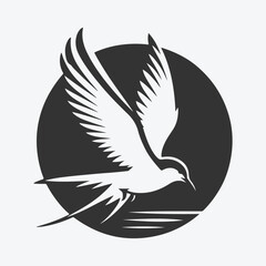 Majestic Tern Silhouette Soaring Across the Skywhite background