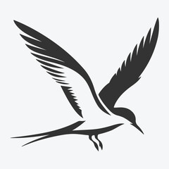 Majestic Tern Silhouette Soaring Across the Skywhite background