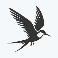 Majestic Tern Silhouette Soaring Across the Skywhite background