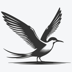 Majestic Tern Silhouette Soaring Across the Skywhite background