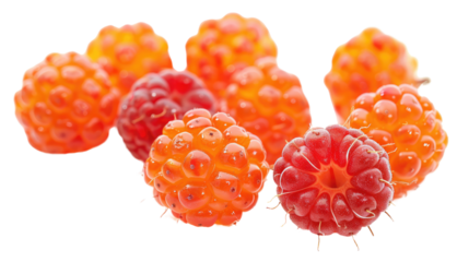 Fresh salmonberries isolated on white background, whole and close-up