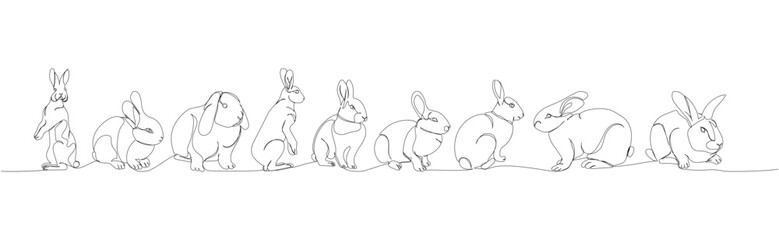 rabbit set, pet, animal husbandry, hare one line art. Continuous line drawing of farm, nature, agriculture, farm animals, rural life, ranch.