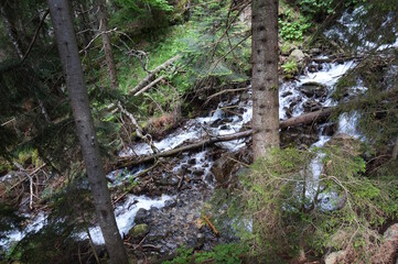 The river flows in a mountainous and wooded area. Dombai