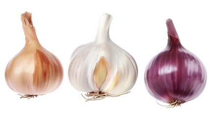 Garlic Bulbs and Onions on White Background