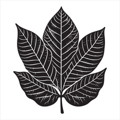 Fototapeta premium black walnut leaf silhouette, vector black color silhouette