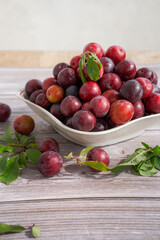 Blutpflaumen - Ringlotten - Mirabellen - frisch vom Baum