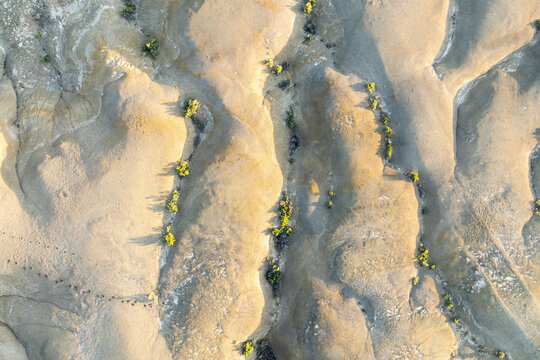 Aerial view of nuanced terrain and vegetation in Bisti Badlands