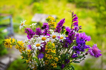 Bouquet of wild flowers on a meadow in the countryside in summer, close-up view.