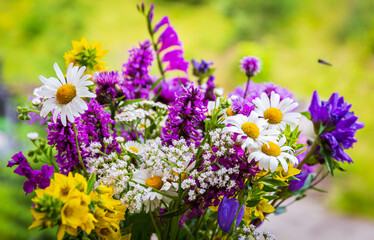 Bouquet of wild flowers on a meadow in the countryside in summer, close-up view.