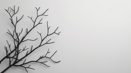 Obraz premium Simple yet striking image of bare tree branches against a white backdrop.