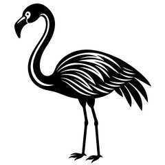 Flamingo vector illustration