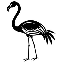 Flamingo vector illustration