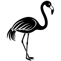 Flamingo vector illustration