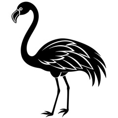 Flamingo vector illustration