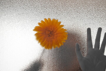 Woman hand sign for stop abusing violence, human trafficking, stop violence against women, Human is...