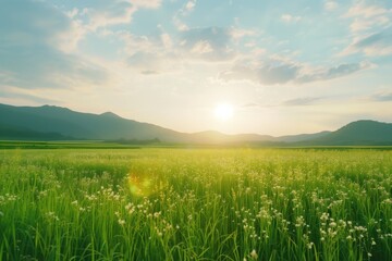 Fototapeta premium Free good morning scene wallpaper background photo