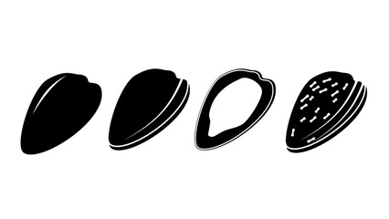 sunflower seeds, black isolated silhouette