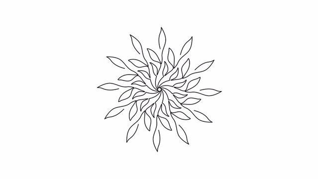 Mandala. One line drawing animation. Video clip with alpha channel.