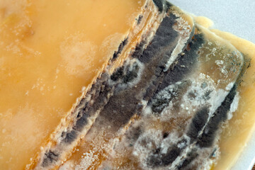 Sliced moldy pieces of cheese. Food waste. Selective focus..