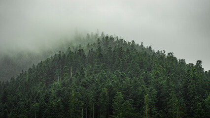 Payolle sommet brume