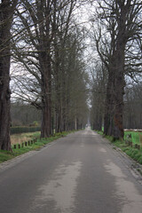 Paris, France in tree-lined path in park the saint-cloud. Paris