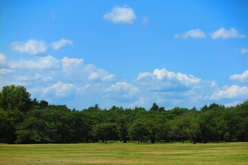 暑い夏の日の広場の風景13