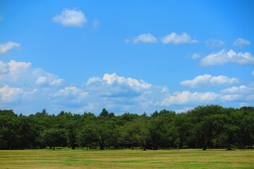 暑い夏の日の広場の風景12