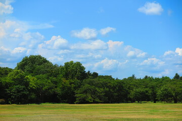 暑い夏の日の広場の風景11