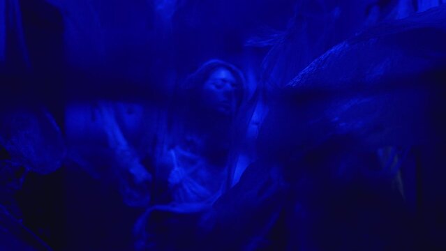 The camera moves along a creepy abandoned corridor, spiderwebs and old oilcloth hang from the ceiling, a silhouette of a vamp woman is visible.
