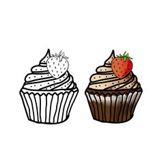 hand drawing colorful vector delicious cupcake illustration 