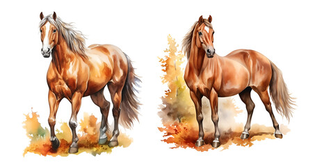 Obraz premium Horse, watercolor clipart illustration with isolated background.