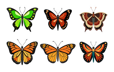 A Mindblowing Vintage Illustration Set of Colorful Butterflies