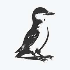 Fototapeta premium Graceful Murrelet Silhouette Against the Sunset