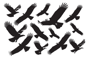 Eagle bird flying silhouette illustration